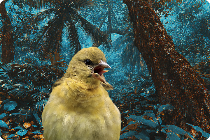 Реальное фото или нейросеть? Проверьте, сможете ли распознать руку ИИ на снимках